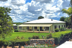 Susan Curtis Estates