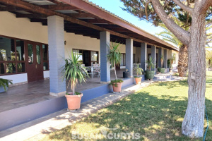 Susan Curtis Estates