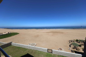 Susan Curtis Estates