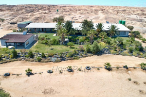 HomePAGE Estate Agency