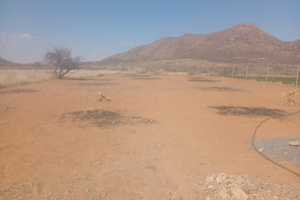 YellowSquare Properties (T332/16)