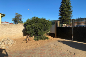 Suzaan Hennig Real Estate