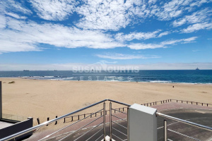 Susan Curtis Estates