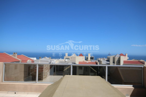 Susan Curtis Estates