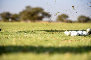 Spes Bona Property Brokers Pty ltd