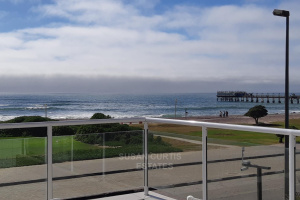 Susan Curtis Estates