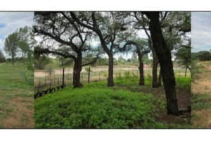 LaRochelle Properties