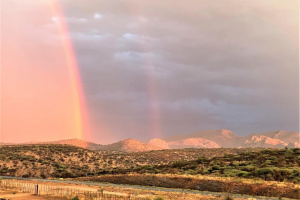 YellowSquare Properties (T332/16)