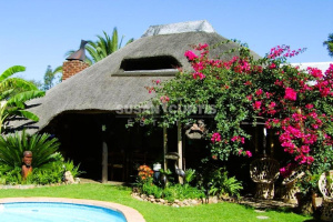 Susan Curtis Estates