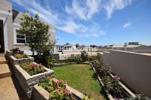 Susan Curtis Estates