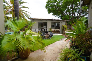 Susan Curtis Estates