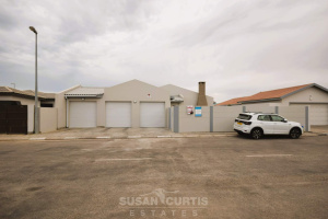 Susan Curtis Estates