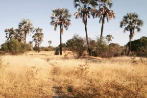 Spes Bona Property Brokers Pty ltd