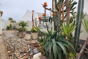 Spes Bona Property Brokers Pty ltd