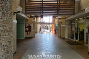 Susan Curtis Estates