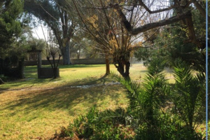 YellowSquare Properties (T332/16)