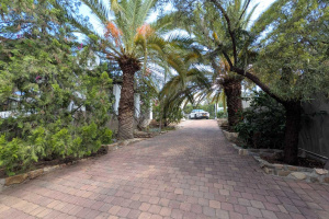 Tatjana Rapp Real Estate