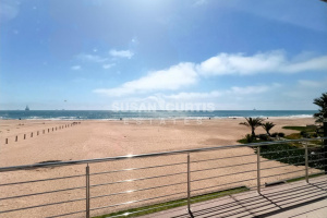 Susan Curtis Estates