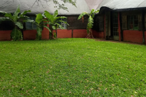 YellowSquare Properties (T332/16)