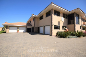 Susan Curtis Estates