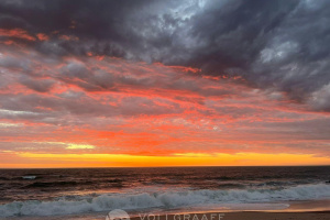 Vollgraaff Real Estate