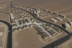 Susan Curtis Estates