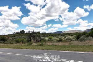 Susan Curtis Estates