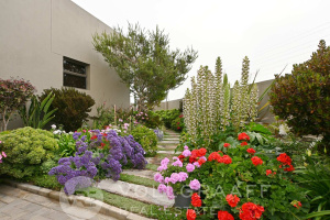 Vollgraaff Real Estate