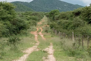 LaRochelle Properties