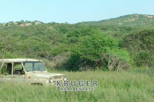 Kruger Real Estate