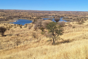 Kalahari Estate Agents cc