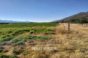 Desert Horizon Real Estate