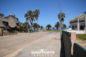 Susan Curtis Estates