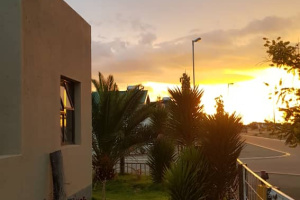 YellowSquare Properties (T332/16)