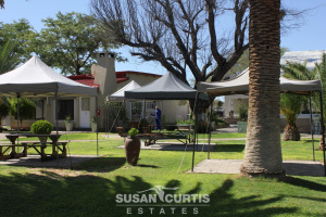 Susan Curtis Estates