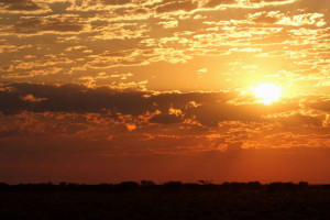 Fine and Country Namibia