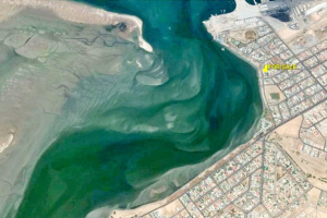 HomePAGE Estate Agency