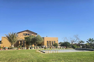 Desert Horizon Real Estate