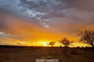 Desert Horizon Real Estate