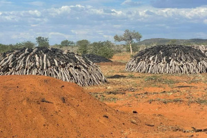 LaRochelle Properties