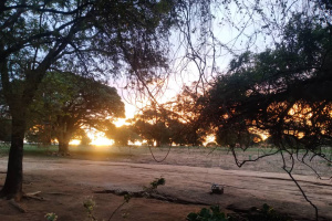 YellowSquare Properties (T332/16)