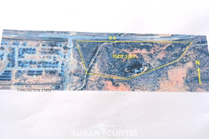 Susan Curtis Estates