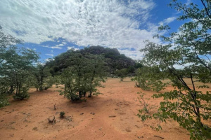 LaRochelle Properties