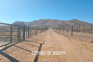 Desert Horizon Real Estate