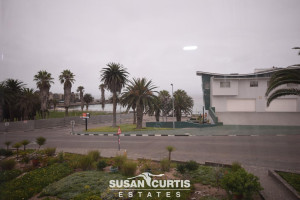 Susan Curtis Estates