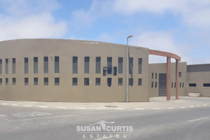 Susan Curtis Estates