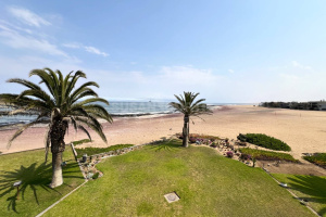 Susan Curtis Estates