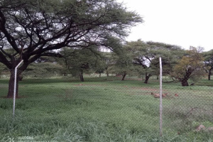 LaRochelle Properties