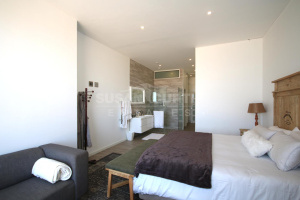 Susan Curtis Estates