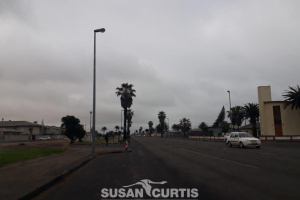 Susan Curtis Estates